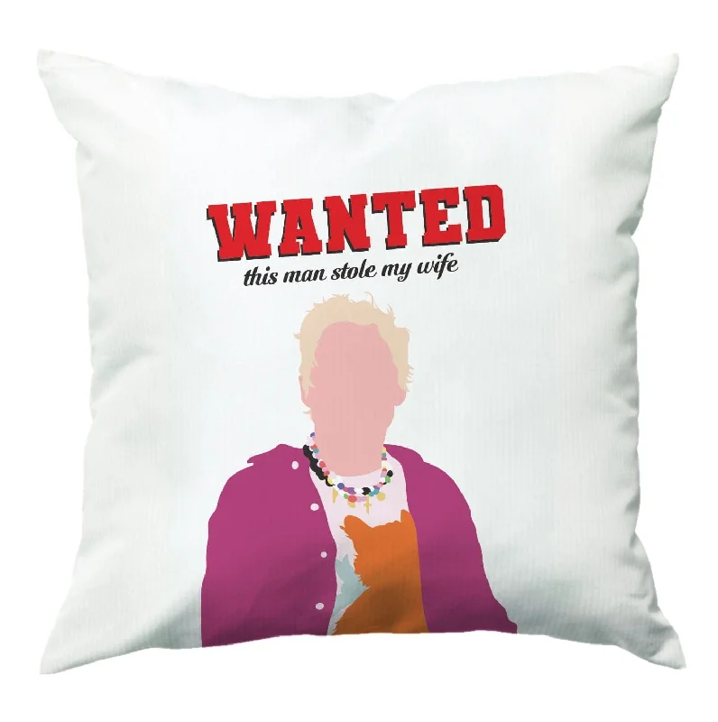 Price Reduction Wanted Cushion